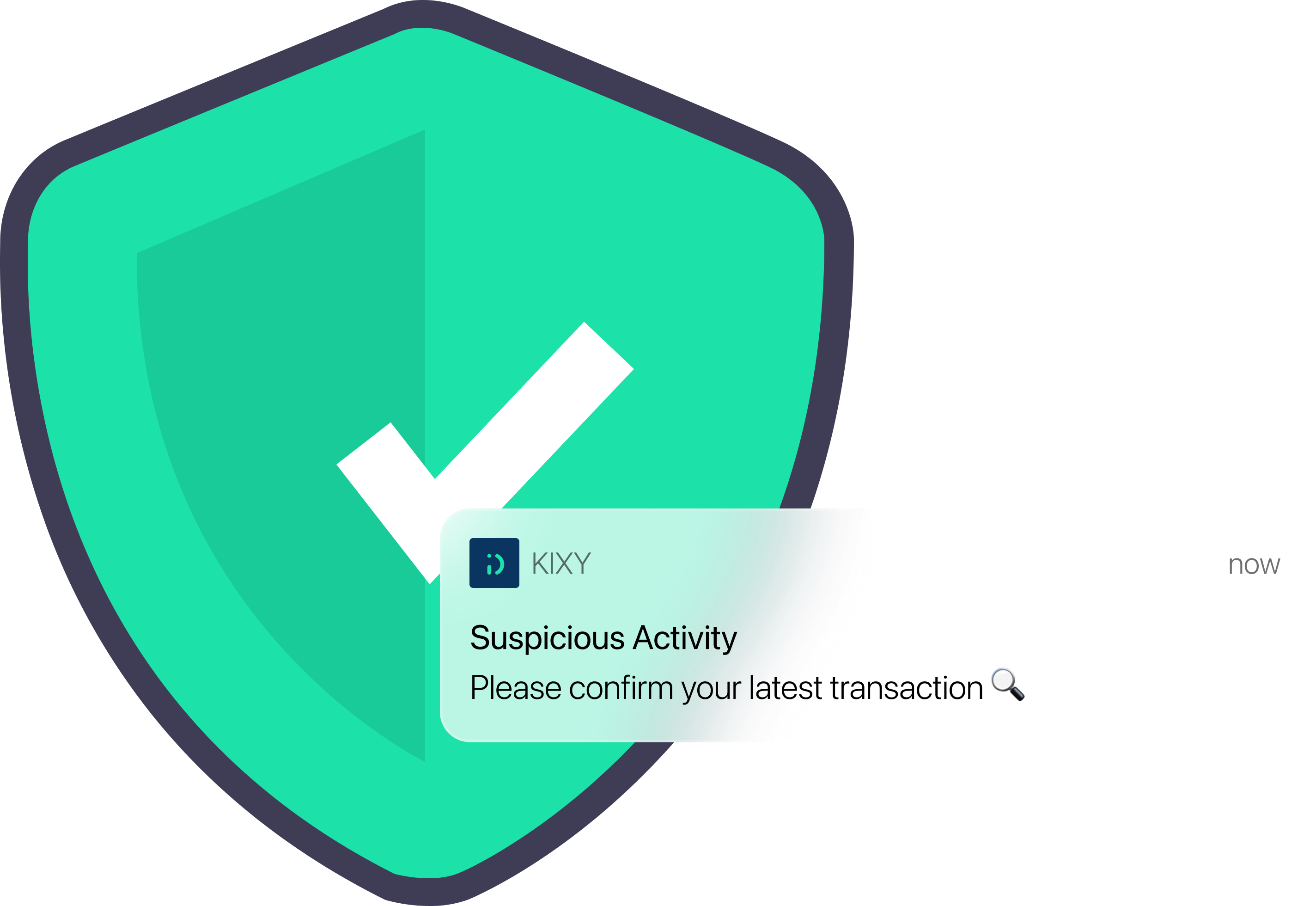 privacy feature and fraud alert notification